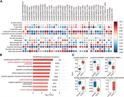 Genome-wide identification of alternative splicing and splicing regulated in immune infiltration in osteosarcoma patients